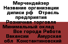 Мерчендайзер › Название организации ­ диписи.рф › Отрасль предприятия ­ Розничная торговля › Минимальный оклад ­ 25 000 - Все города Работа » Вакансии   . Амурская обл.,Константиновский р-н